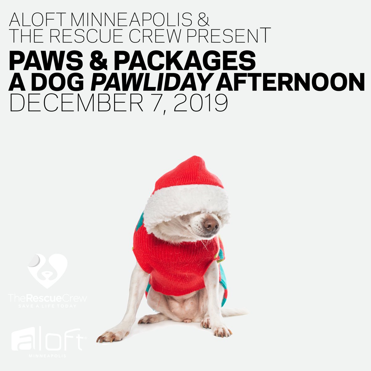 AloftMpls's tweet photo. Tomorrow is our Paws &amp; Packages event! We'll be hosting foster dogs, specialty pet vendors &amp; collecting pet items for donation. Come do some Paw-Ple watching! #AloftMPLS #ARF https://t.co/Srdfcl080F