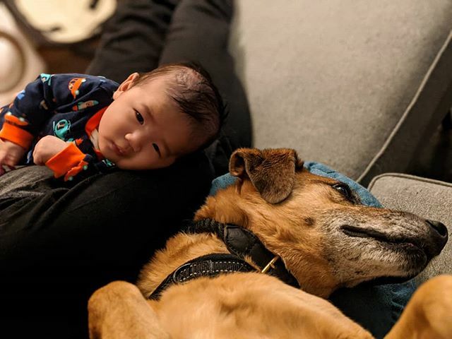 📷💣 ift.tt/2DSDvr9