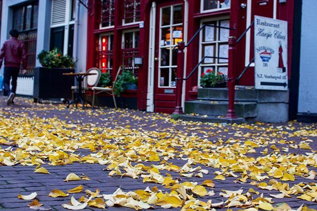LayalJebran's tweet photo. Yellow .
.
.
.

#Geek #GeekGirl #GeekChique #GeekStyle #WomenWhoCode #GirlsWhoCode #WomenInStem #Nomad #TravelingGirl #StarGirl #Wanderlust #Space #SpaceGeek #Gamer #travel #DigitalNomad #GirlsWhoSurf #Surf #music #femaledj #ChangeTheWorld #Fun #nature https://t.co/MK9OLcY0ld https://t.co/5Upoic9LN6