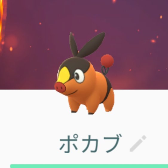 Gaji ポカブ作りました 黒いパンツをはいたブタのポケモンですね 鼻が長すぎて間の抜けたポカブになりました 粘土 ポケモンgo Gaji ポカブ作りました 黒いパンツをはいたブタのポケモンですね 鼻が長すぎて間の抜けたポカブになりました 粘土 ポケモンgo