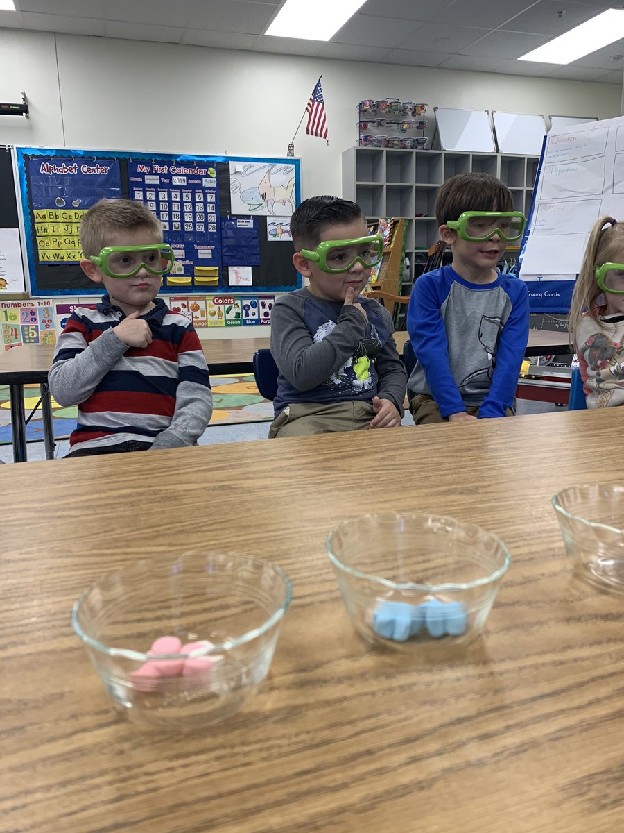 Mrs_Marrero24's tweet image. It was an amazing week @PineRidgeHS. Our overall theme of transportation certainly took us places. Our preschoolers also loved investigating color. #vcsscience Watch out VCS we have some amazing educators on the rise!
