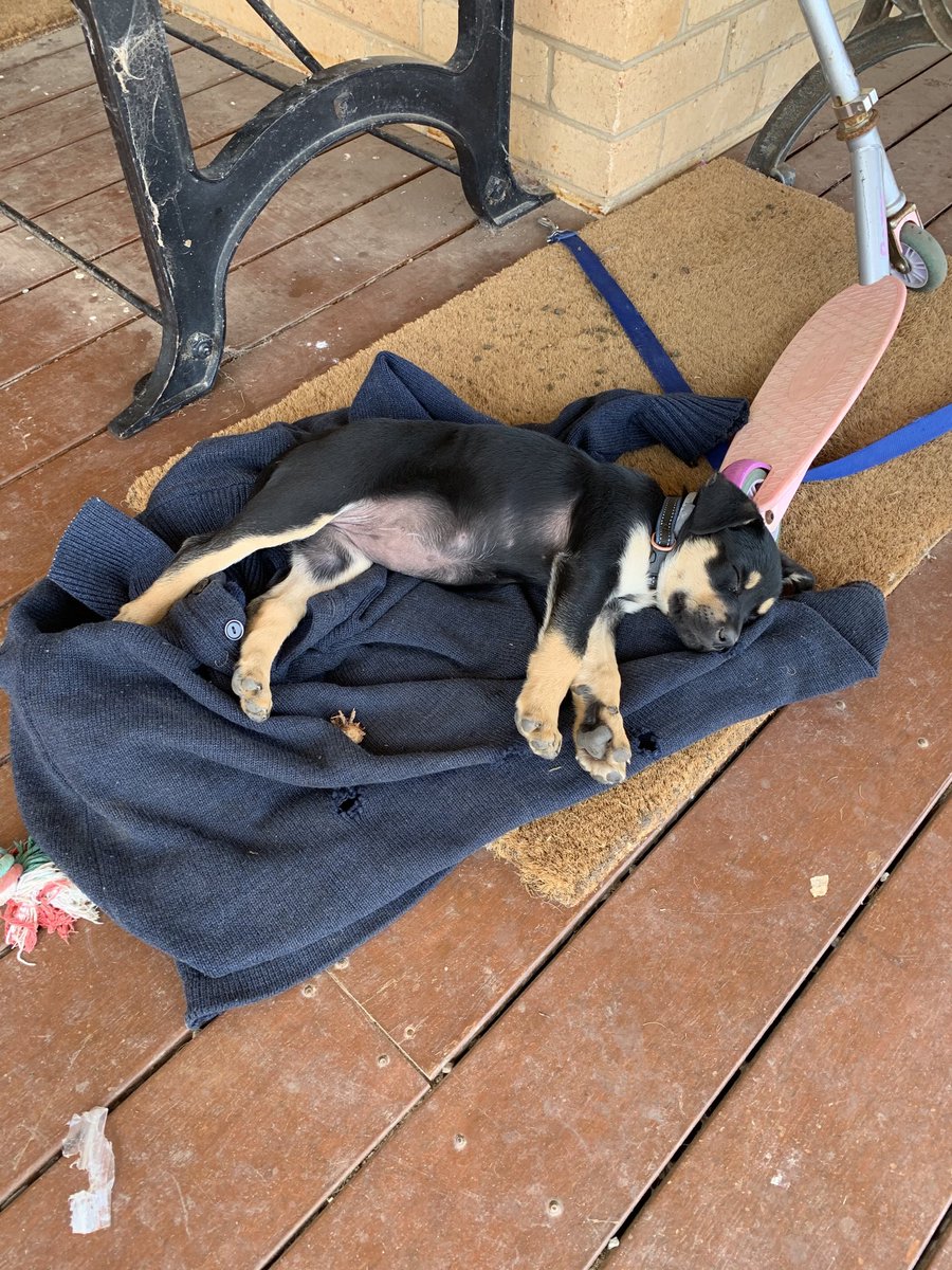 2Stacky's tweet image. I didn’t need my jumper you can have it I guess