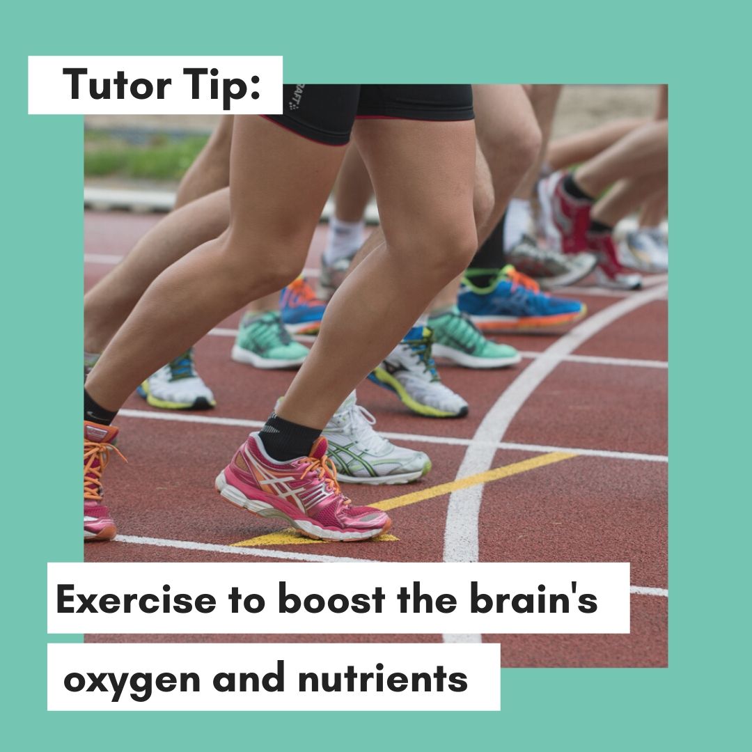 uni_tutoring's tweet photo. Exercising helps boost cognitive abilities and your learning! 🏃♀️💪
#BrainPower #TutorTip #UniversityTutoring
https://t.co/nUBruAXUv3 https://t.co/prvoRYXIFp