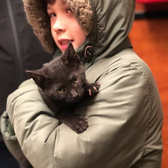 Oscar and his parents today brought home their new best friend “Mando!” (reference of the Star Wars Mandolorian series)  Oscar and Mando are off on their new adventure looking for baby Yoda 😏😉 So incredibly happy for them ☺️☺️ May the force be with y… ift.tt/38h2AtF