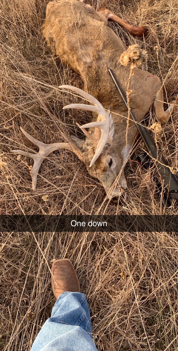 lhern695's tweet photo. Always a good day when you can fill the freezer up. #fieldtofreezer https://t.co/hsk1yCwCwI