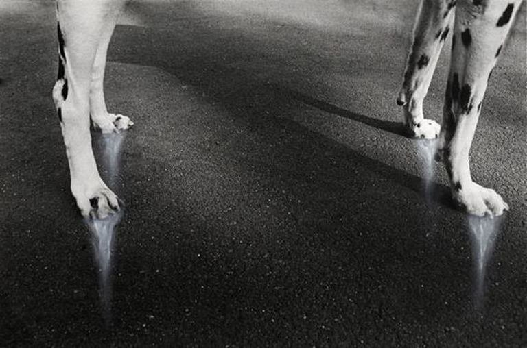 Peter Zupnik - Stabilité