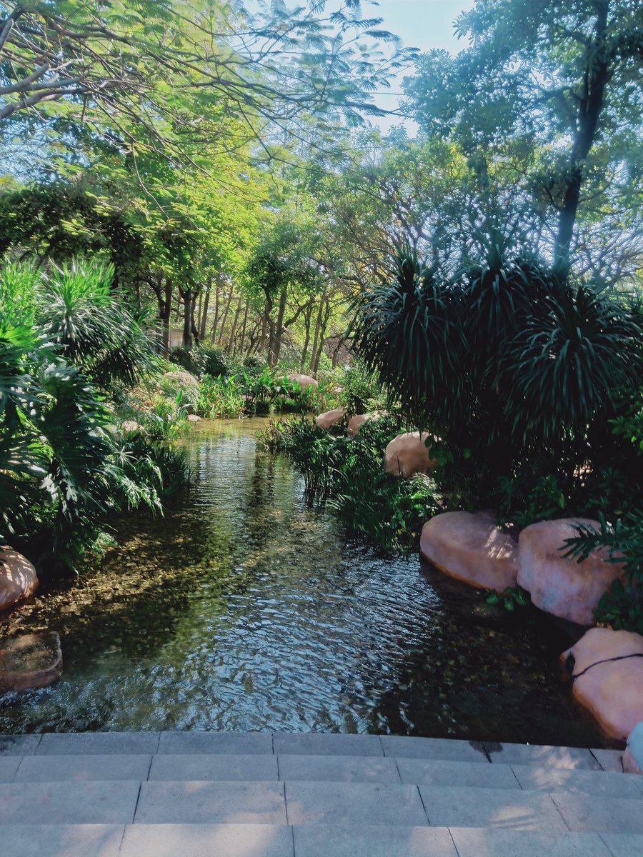 lily89618796's tweet image. You can also see green cities in winter.