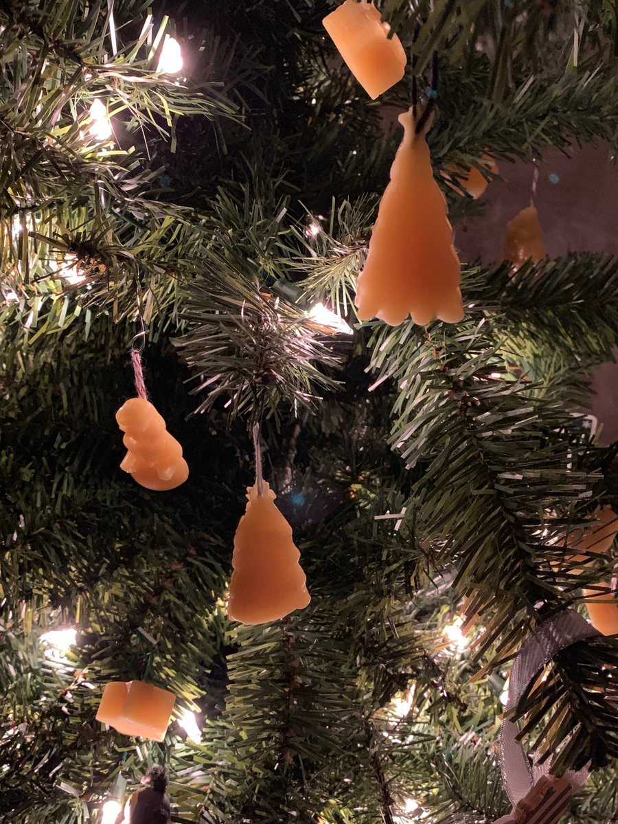 CapBeeSupply's tweet photo. Capital Bee Supply's December sales flyer. Stop in, see our bee themed Christmas tree and grab a scroll for a surprise holiday gift. #beekeeping https://t.co/D2jr5Slsev