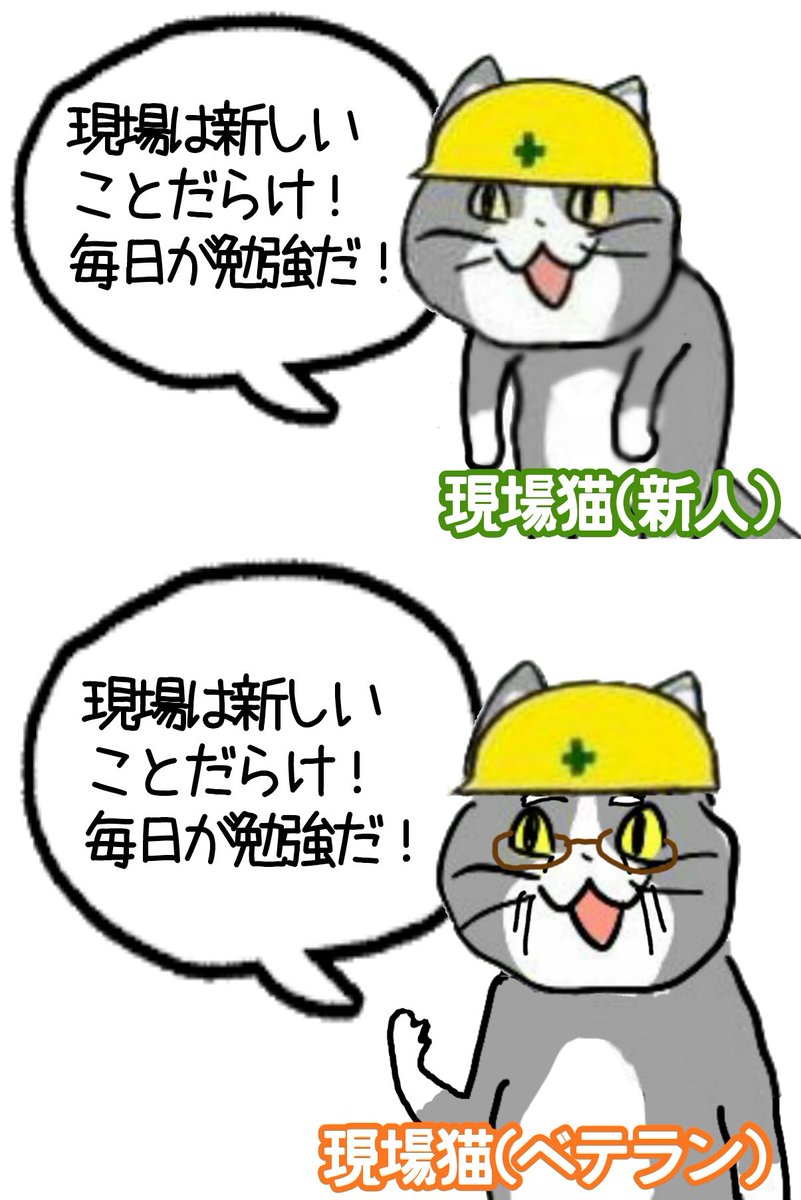 現場についてどう思うか尋ねられたときの現場猫 #現場猫 