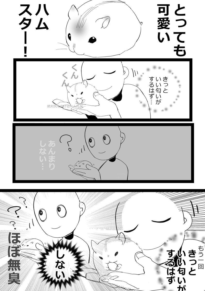 とんがりコーンとか、干し草の香りはむ～
#ハムスター漫画 