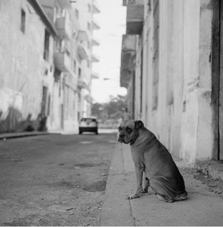 Bryan Moore - From the 'Last Days of Castro', Cuba 2008.