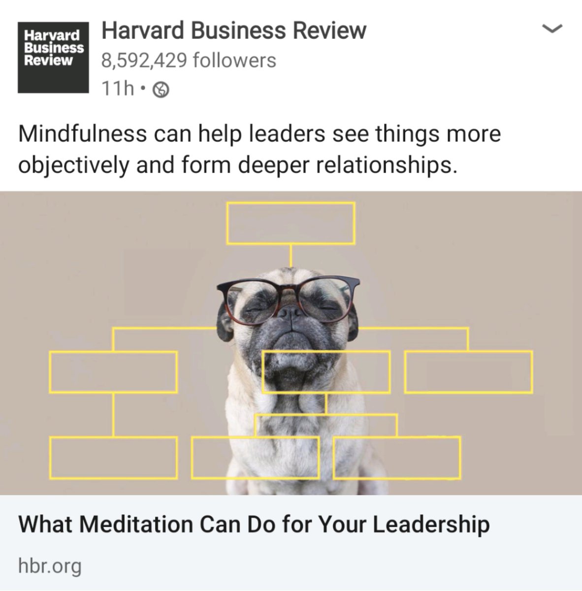 0684Blade's tweet photo. I read this as "What medication can do for your leadership", if that says something about current events...
#LOL #maynothelp #worthatry https://t.co/r9wun9f6XI