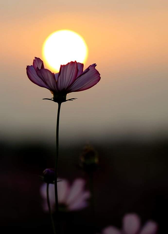 tuyenvu2801's tweet photo. Người luôn cố gắng cổ vũ người khác đều không hài lòng với bản thân. https://t.co/zNTIukDmHD