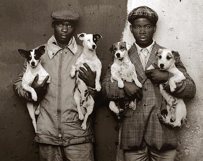 Francois d'Elbée, 2019