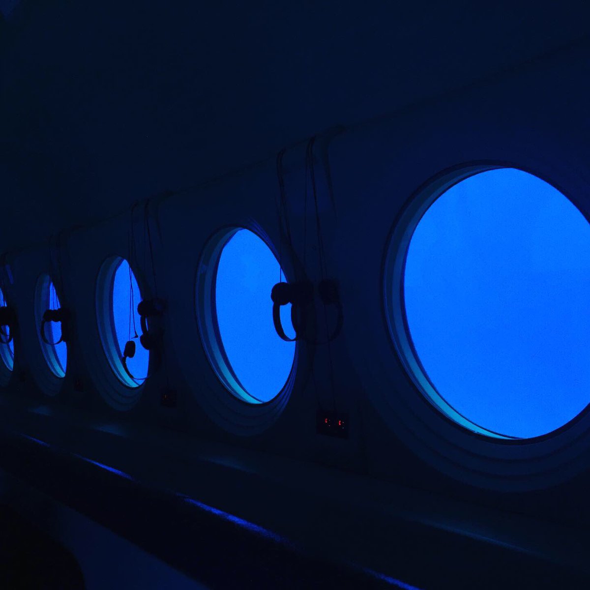 tkt058's tweet photo. I ride on the #atlantissubmarine .
Many fishes live in many dumped ships.
I was surprised!
#photo #atlantissubmarines #atlantissubmarineswaikiki #アトランティス潜水艦ツアー #Hawaii #Waikiki #fish #写真好きな人と繋がりたい #photo #Submarines #submarinetour https://t.co/uXGwNQfuvk