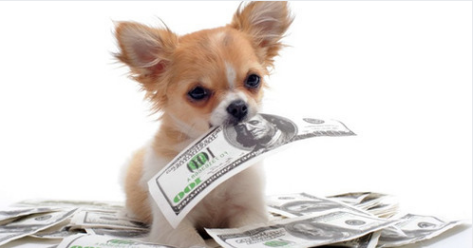AutopilotMone10's tweet photo. 🤯💰➡️ Want To See The Power of $100.00 ➡️ https://t.co/zHKDHsmuxG #makemoney #makemoneyonline #makemoneyfromhome #marketingonline #Workathome #WorkFromHome #JingleBall2019 #latelate #QueenAndSlim #VIDEO #zoziformissuniverse #makeup #work #workplaceexperience #ineedmoney https://t.co/WLy3IGewc7