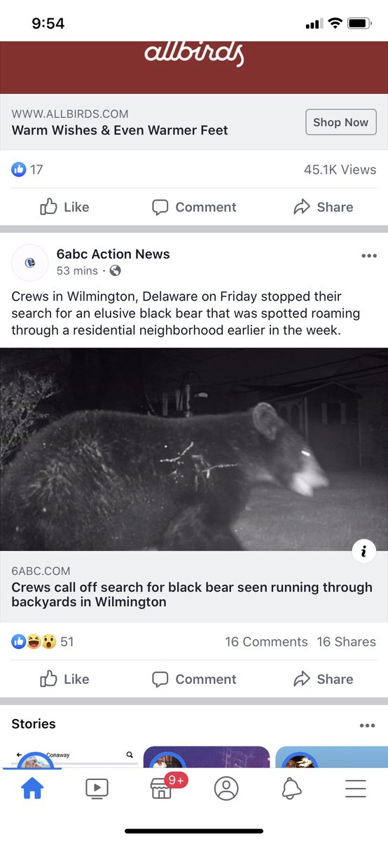 babss_d's tweet photo. @thedelabear RUN FREE BABY BEAR https://t.co/IMwTpKxfaV