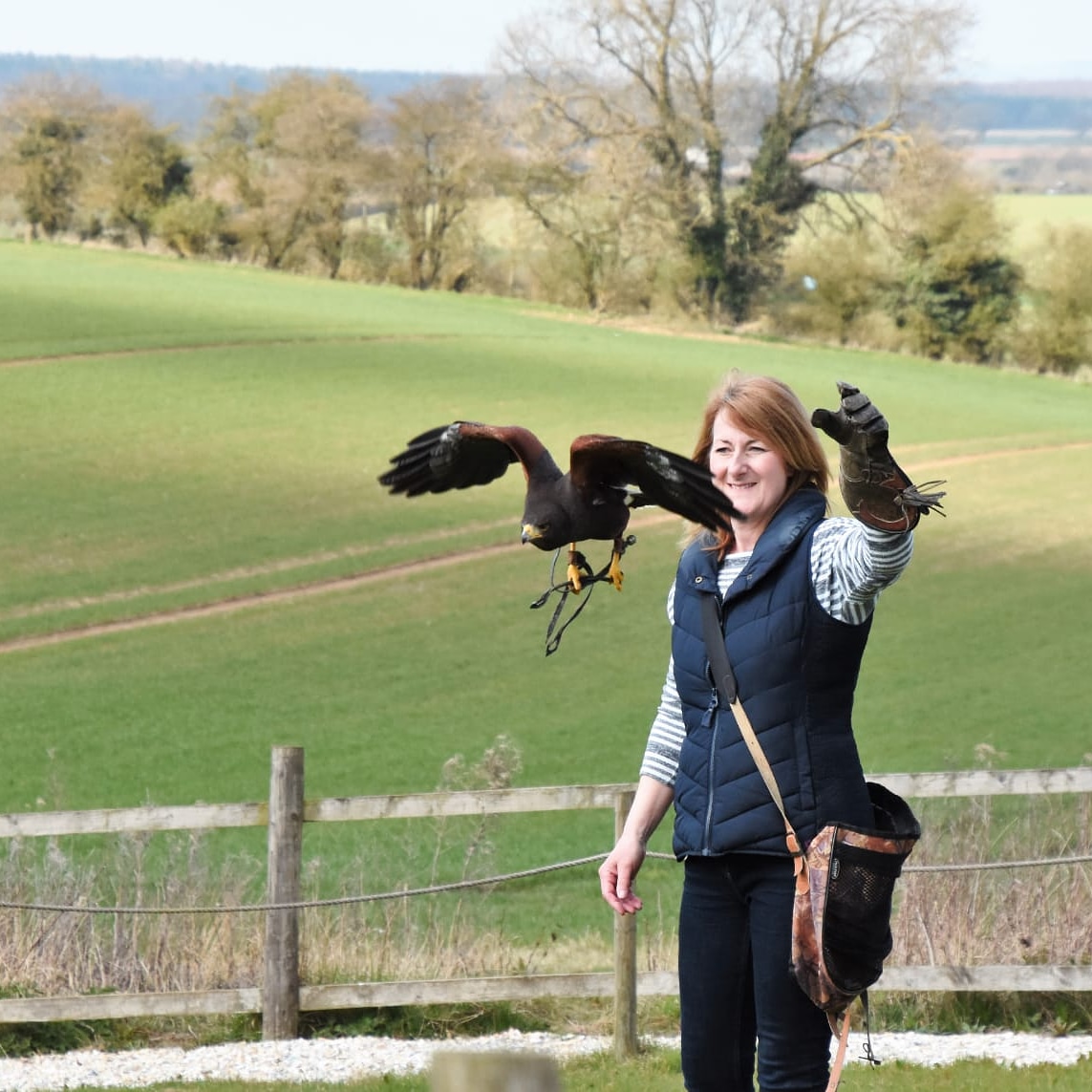 WoldsWayOwl's tweet photo. Time to purchase a gift with a difference.  Falconry experiences make the perfect Christmas gift. 
See our website www https://t.co/73gyWnVj21
Vouchers now on sale. https://t.co/KL7y8rFFGB