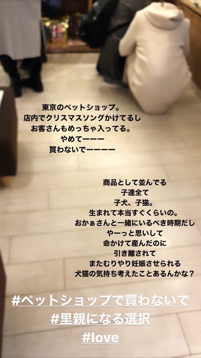 星野文香 Who S Tv ペットショップで買わないで クリスマスソングかけてて エグかった 本質を理解しよう