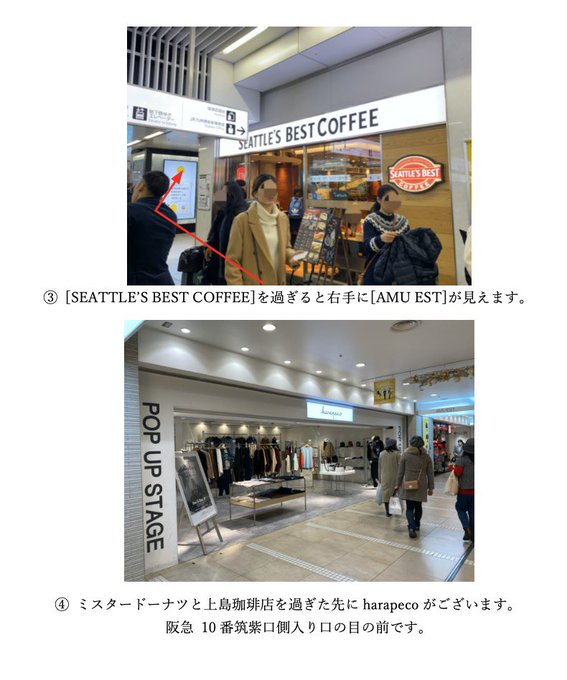 Harapecoさん と Harapeco Store のやりとり 1 Whotwi グラフィカルtwitter分析