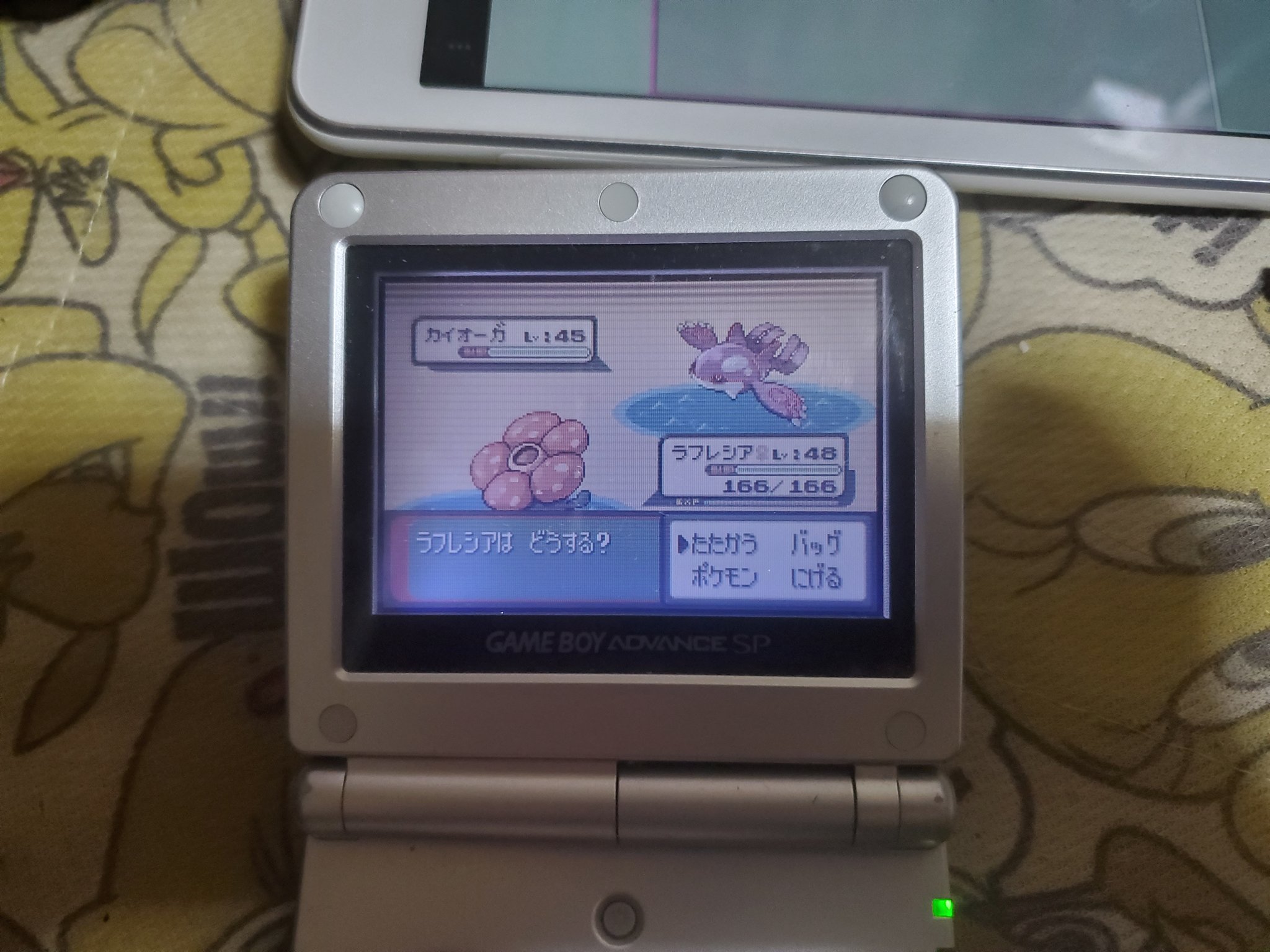 しんぴか 3世代カイオーガ色厳選 回目 光りました 1ヶ月ぶりの色違い降臨です めいそうガン積みされてバタバタ落とされて手間取りましたがタイマーで何とか捕まりました T Co Nojgmprpge Twitter