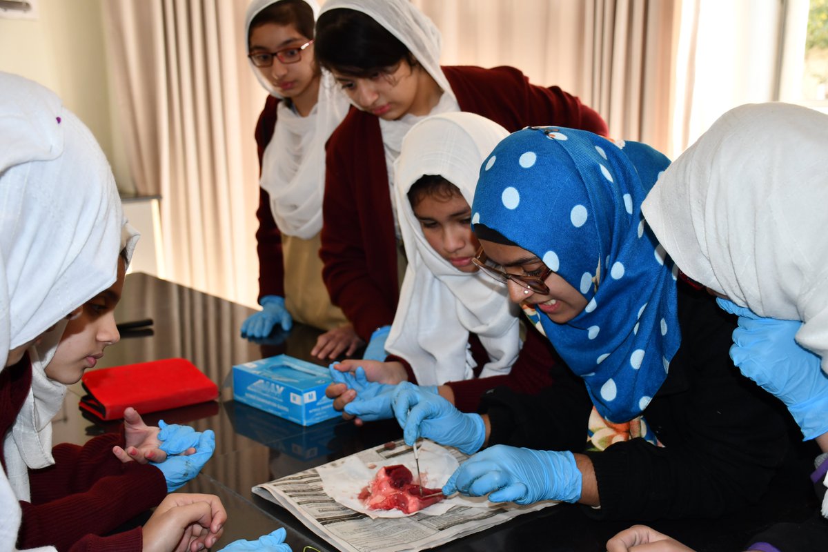 AmblemSystem's tweet photo. A bit challenging but nevertheless fascinating: AMBLEM’s bright stars learned blood flow circulation and dissection of heart in their Biological Sciences Lesson.
#DissectionofHeart #MiddleSection #ScienceLab #AMBLEMSCHOOLSYSTEM https://t.co/iRAdDtGogY