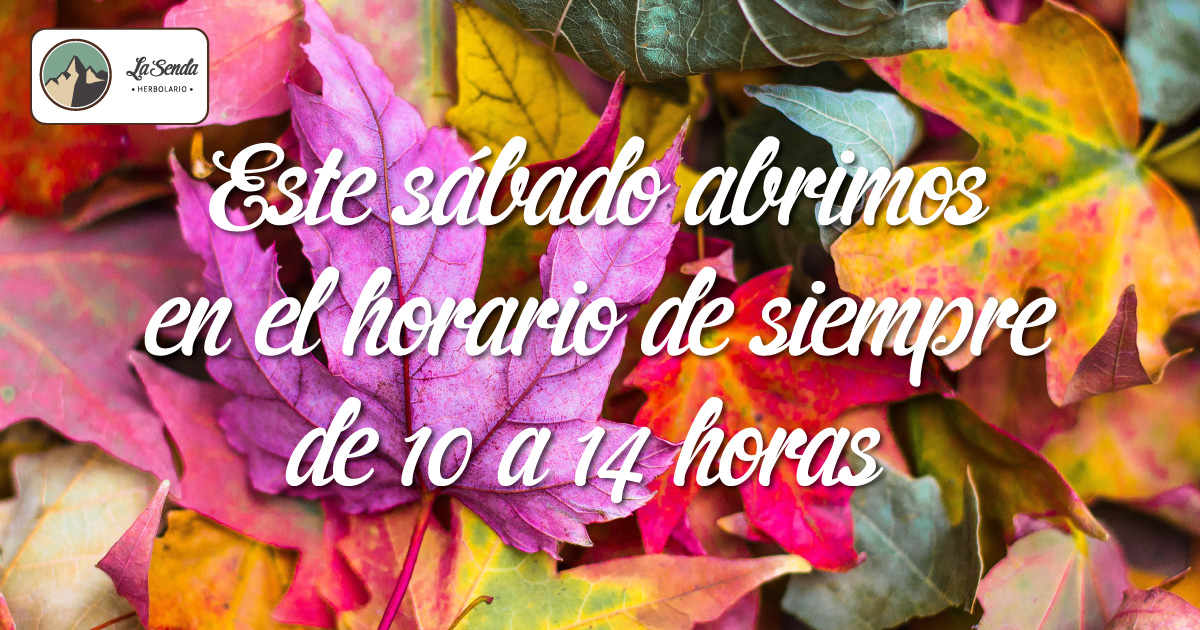 herbolasenda's tweet photo. Para nosotras no hay puente. Hoy abrimos, con el horario habitual. ¡Te esperamos! https://t.co/ZLwhl38Bxt