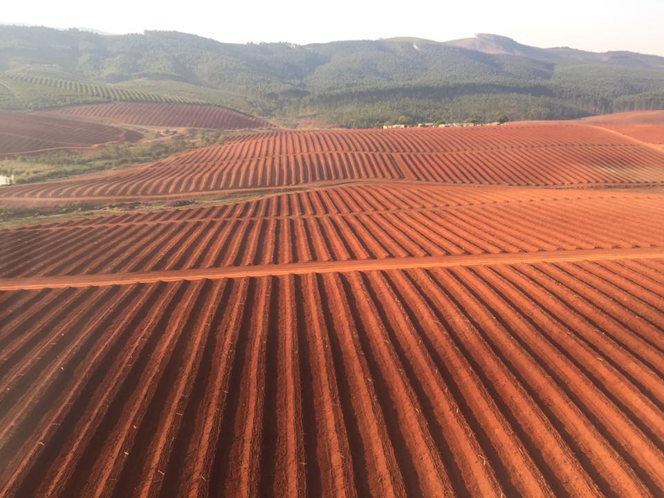 The Greek case farmers are piloting the same in their vineyards in Central Macedonia. The American Farm School will be measuring the comparative soil health throughout the experiment. 
<a href="/EU_Commission/">European Commission</a> <a href="/EU_H2020/">Horizon 2020</a> <a href="/NextFood3/">NextFood</a>