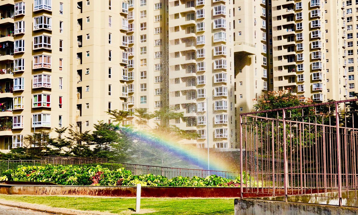 chand_shanu's tweet photo. The #Rainbow 🌈
only if you want to look, it will come up for YOU 😊
#TheMagicOfSmallThings
#SoulfulSaturday
#FeelingAlive https://t.co/HMDgTlBpFn