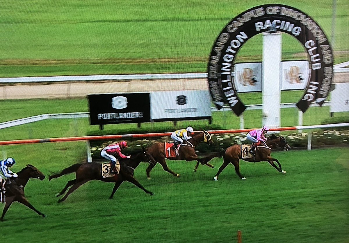G1 winner no.10 for Iffraaj - Wyndspelle dominant winner of G1 Rydges Captain Cook S over 1600m @ Trentham <a href="/HaunuiFarm/">Haunui Farm</a>