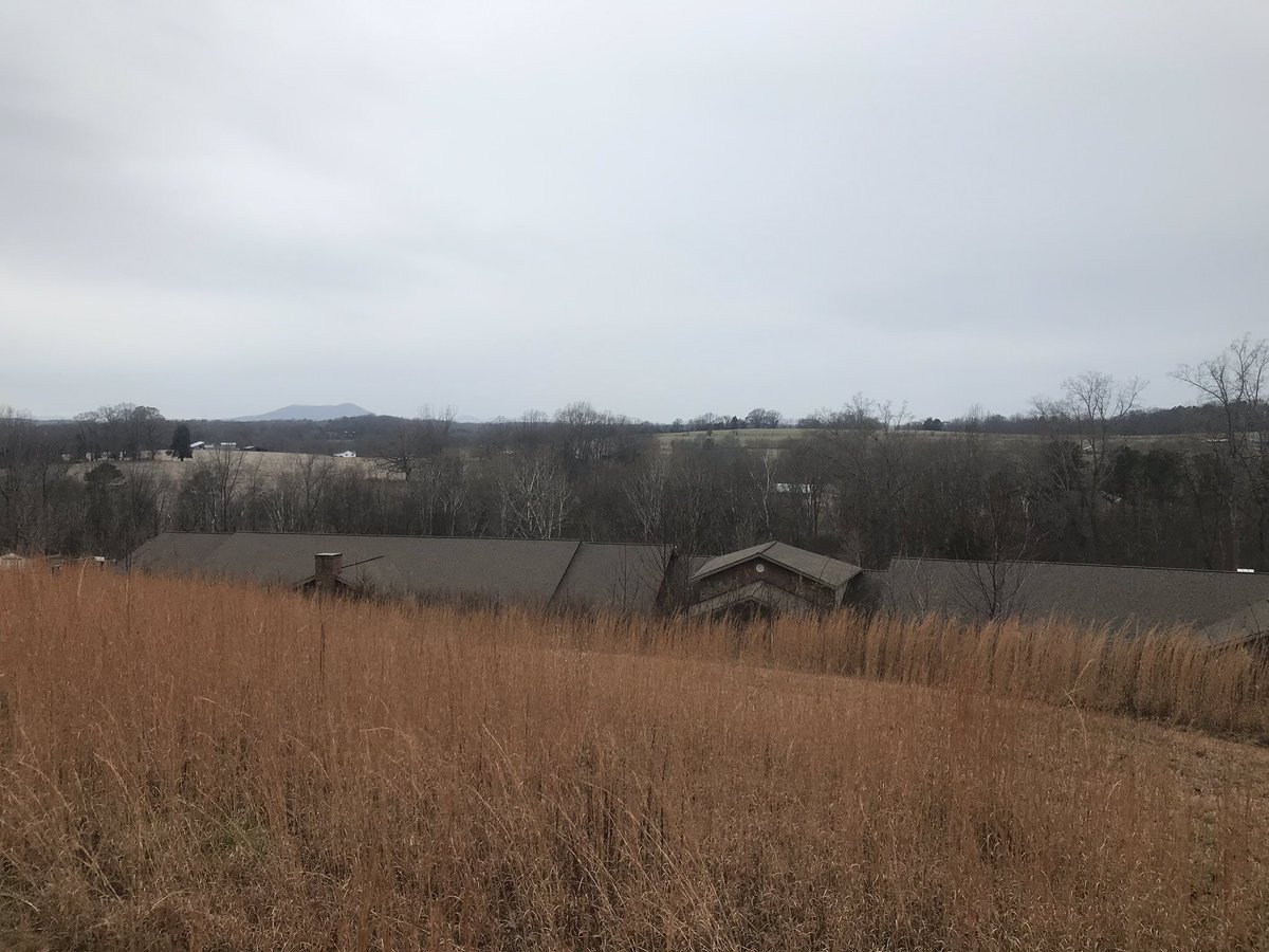 MichelleCharlesworth tweet media