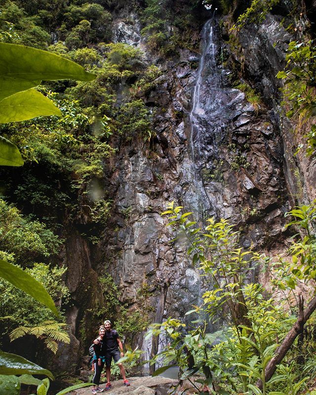 Petite cascade 🌊 #newzealand #kiwi #falls #waterfall #hiking #travel #travelphotography ift.tt/38gd1Or
