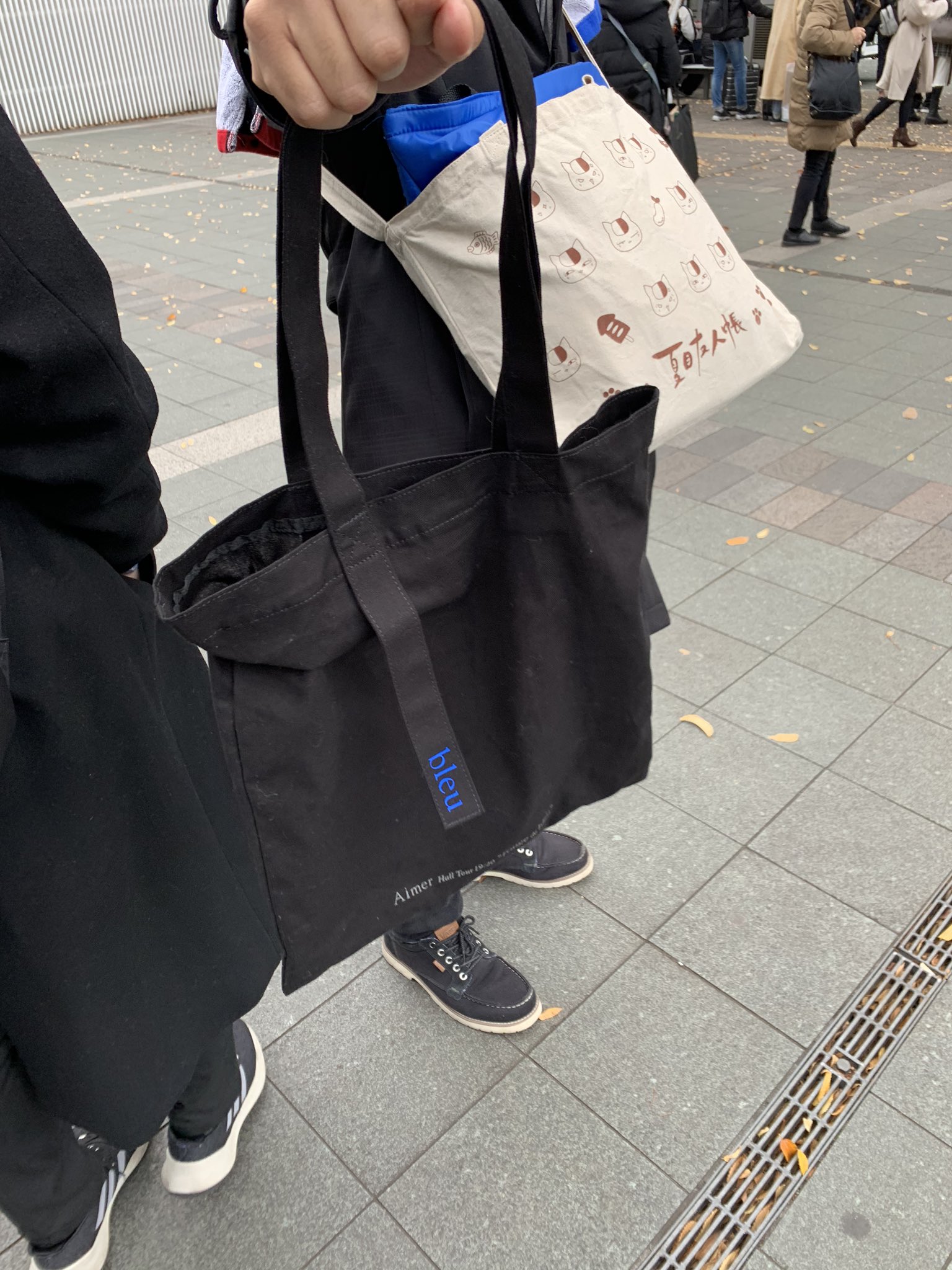 限定セット Aimer Hall Tour 2016トートバッグ www.esn-spain.org