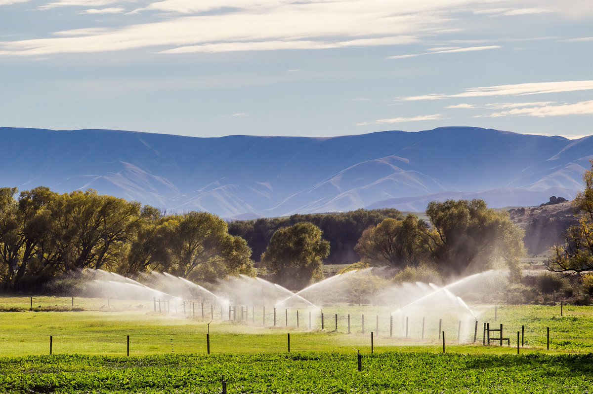 Next Farm tweet media