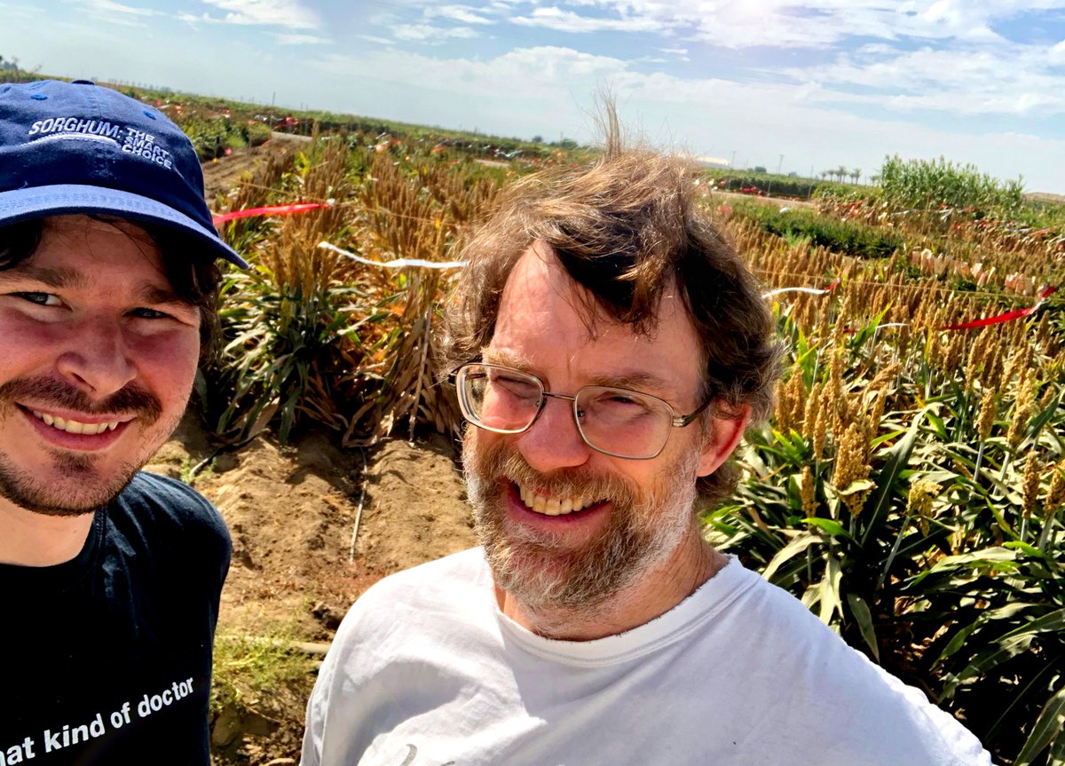 Sorghum is amazing.  It produces food and biomass in HOT regions with VERY little water.

Also amazing: @colepbio and John Vogel, sampling sorghum transcriptomes in HOT regions with VERY little water.

New insights from EPICON: pnas.org/content/early/…