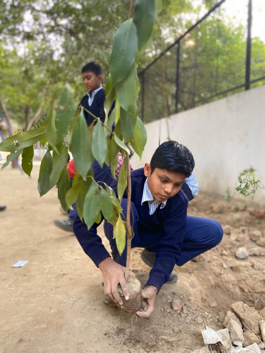 PlantYourTrees's tweet photo. Company name- Penguin Random House India Pvt. Limited, Guru gram, Hariyana
Tree plantation location- Government Primary School, Address- A-2, Sushant Lok, Guru gram,
We are the leading Tree Plantation company in Delhi NCR . Call us today for Corporate Tree Plantation 9810650241 https://t.co/flxfVC0sOk