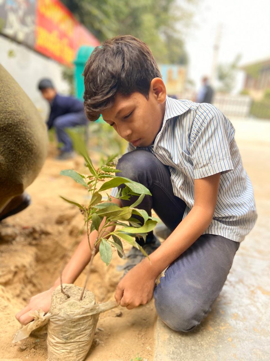 PlantYourTrees's tweet photo. Company name- Penguin Random House India Pvt. Limited, Guru gram, Hariyana
Tree plantation location- Government Primary School, Address- A-2, Sushant Lok, Guru gram,
We are the leading Tree Plantation company in Delhi NCR . Call us today for Corporate Tree Plantation 9810650241 https://t.co/flxfVC0sOk