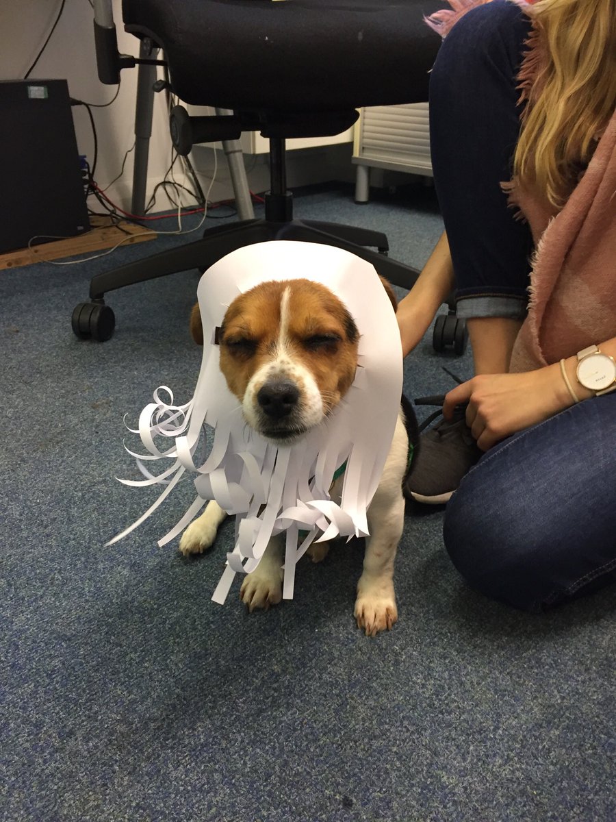 Never leave me in the office with someone else’s dog.