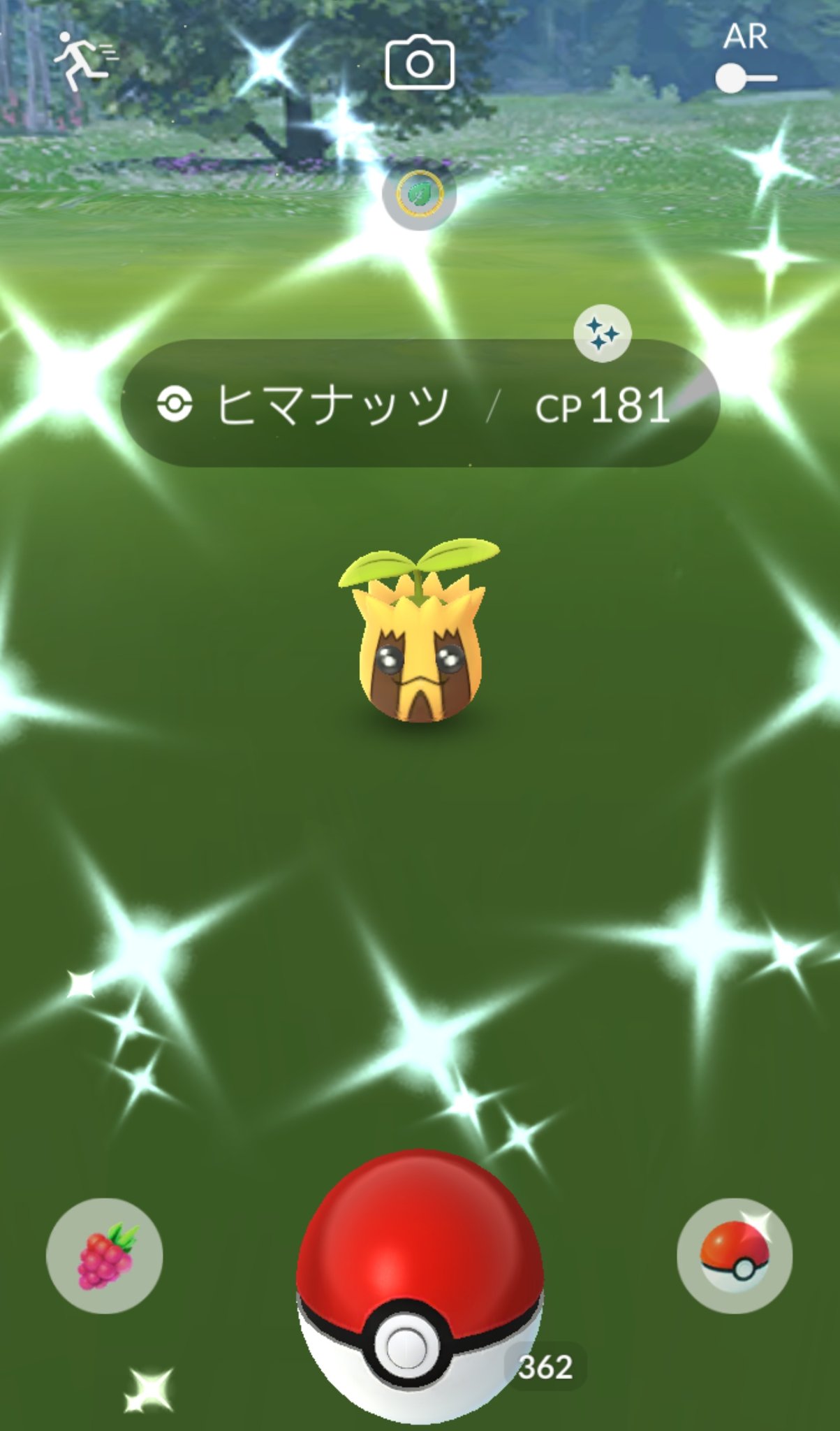 こめぽ 御三家レイドデイ 今日はexジム中心に回ってみた やっぱり黒リザの準備がしたくてリザード回りしてたら 一発目で色違い来た 記念に木に隠れた修復中熊本城とar ヒマナッツも色が何か違うと思ったら初色違い 今日は何て日だ ポケモンgo 色