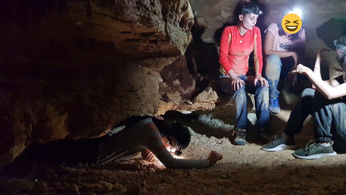 RuTheObserver's tweet image. About the Bat Cave yesterday. ❤️