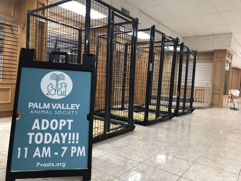 pvastx's tweet image. When you're alone, and life is making you lonely you can always go DOWNTOWN...&amp;amp; meet some of adorable cats &amp;amp; dogs!

Join us for the @pvastx Downtown Adoptions-kicking off this weekend, Saturday, Dec 7th at 11 AM!

See you DOWNTOWN!

302 S Broadway St, McAllen, TX 78501 
#pvastx