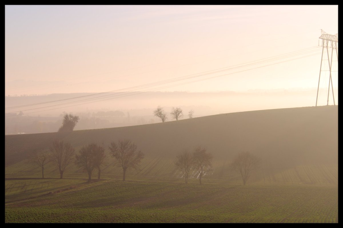 MenSauveur's tweet photo. #matinspiration #matinphotography #photo #photographie #photography #pics #sudouest #lauragais #canoneos2000d https://t.co/6cKE2TDoJU