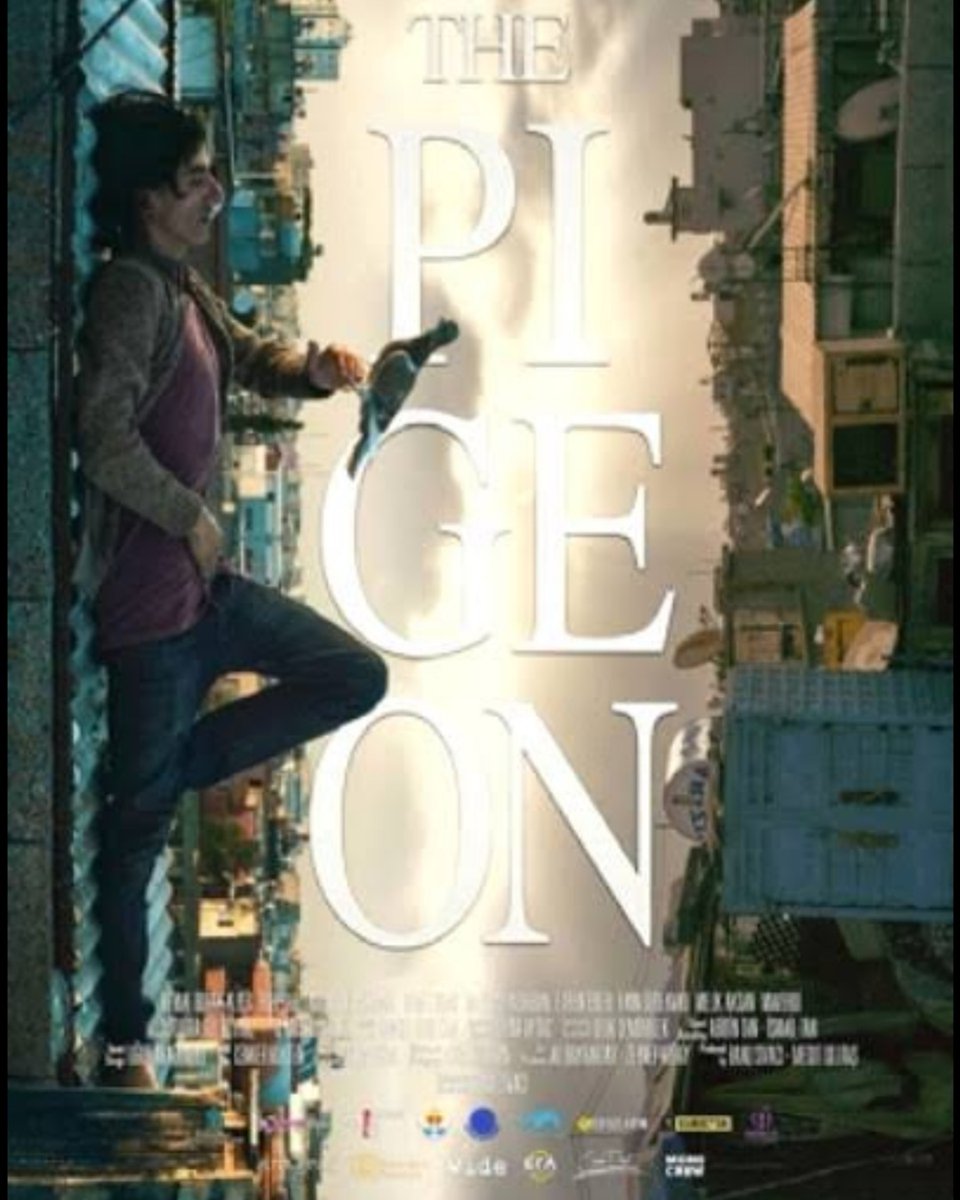 Güvercin filmi 6/12 Aralık 2019 tarihleri arasında 15,17,19 seanslarında Vault34 Yeşilçam Sineması'nda İmam Adnan Sk No 8 Beyoğlu İstanbul 02122433527#film