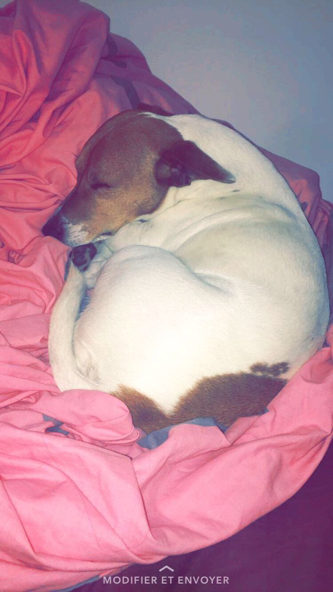 Pau_usseglio's tweet photo. A tous jamais mon amour, repose en paix. ❤️💫💔 https://t.co/PvABIju95a