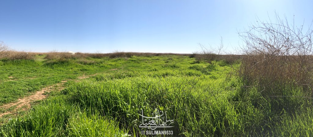Suliman9533's tweet photo. #فيضة شمّـر ( مفرق #الهبكة ) 📍
ربيعه طيب وقريبه للخط ☘️👍🏽  

٩ / ٤ / ١٤٤١ هـ
٦ / ١٢ / ٢٠١٩ م https://t.co/X2euw5D4Ly