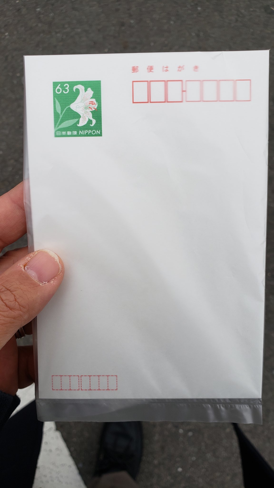 てれすな 和歌山で楽しくサークル活動中 コンビニに行き 官製はがき下さい というと 若い店員さんが奥に行きウロウロ 出てきて別の店員さんに聞き そして一言 カンセイハガキって何ですか 普通の切手のいらないハガキです と説明し 最近