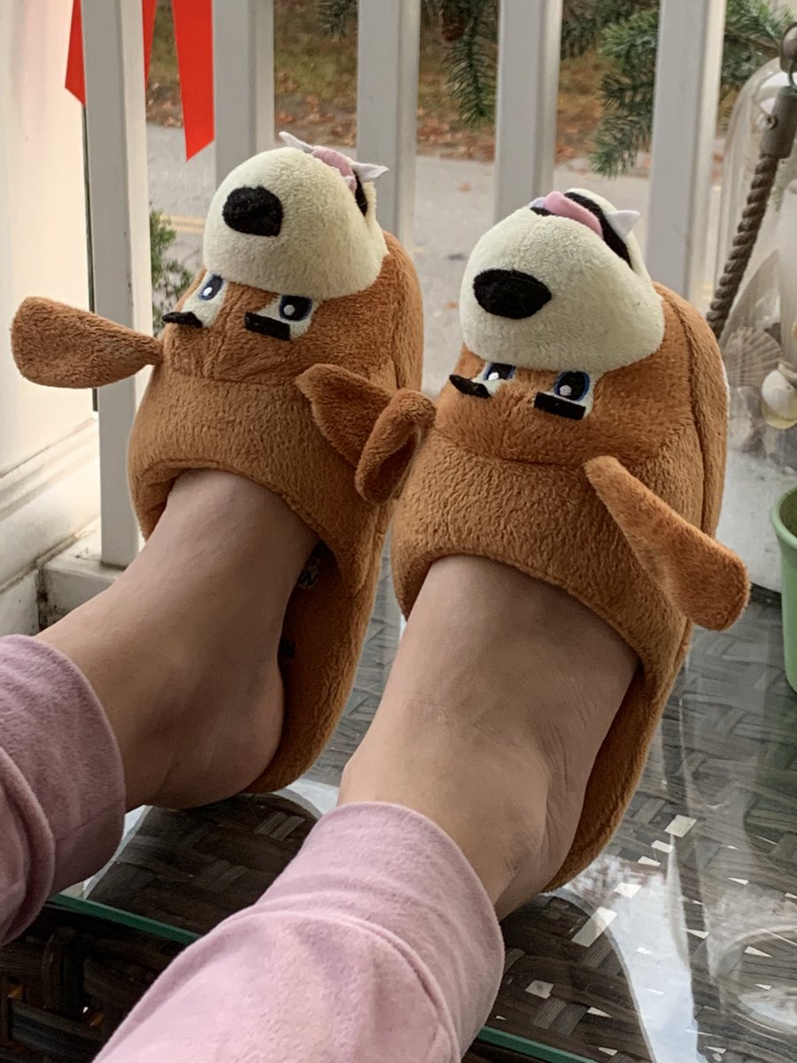 ABCnews4jbruce's tweet photo. In my humble opinion still the best @ChasRiverDogs giveaway item ever. What do you think @CharlieRiverDog? #notmyfeet https://t.co/Kg4Th3Mire
