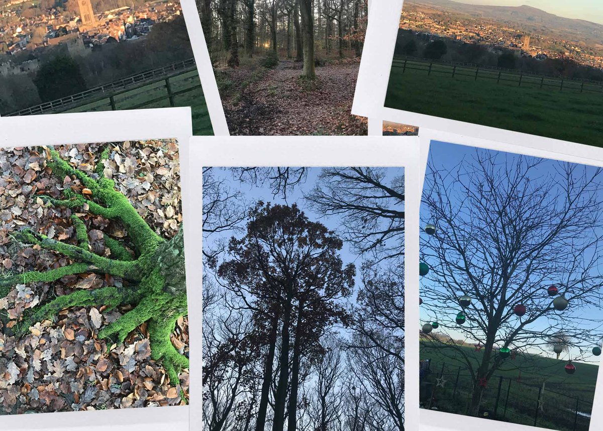 What Walking Teaches About Making Music