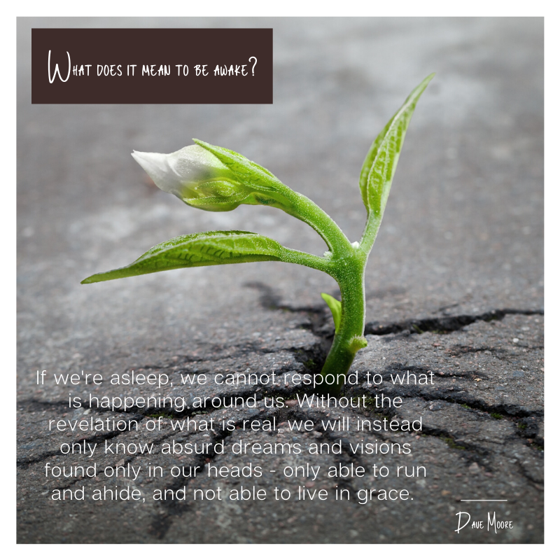 CornerstoneWC's tweet image. One more quote from last Sunday's question "What does it mean to be awake?" #advent #seasonofawakening