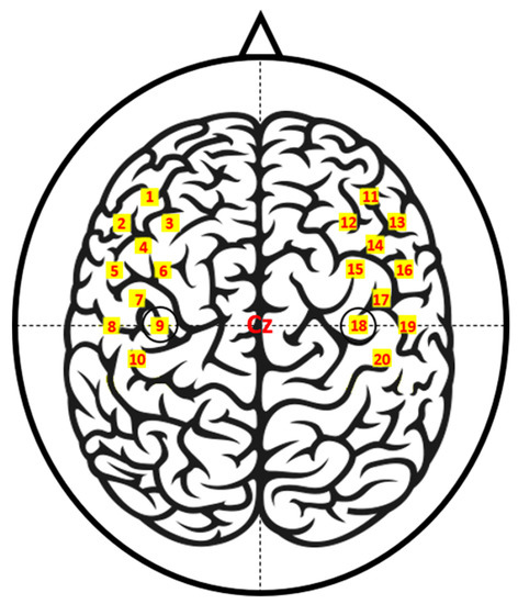 MDPIOpenAccess's tweet photo. Open-Access fNIRS Dataset for Classification of Unilateral Finger- and Foot-Tapping https://t.co/2RQe17zx09 #BraincomputerInterfaces #FunctionalNearInfraredSpectroscopy @electronicsMDPI https://t.co/MVLrBsgyYz